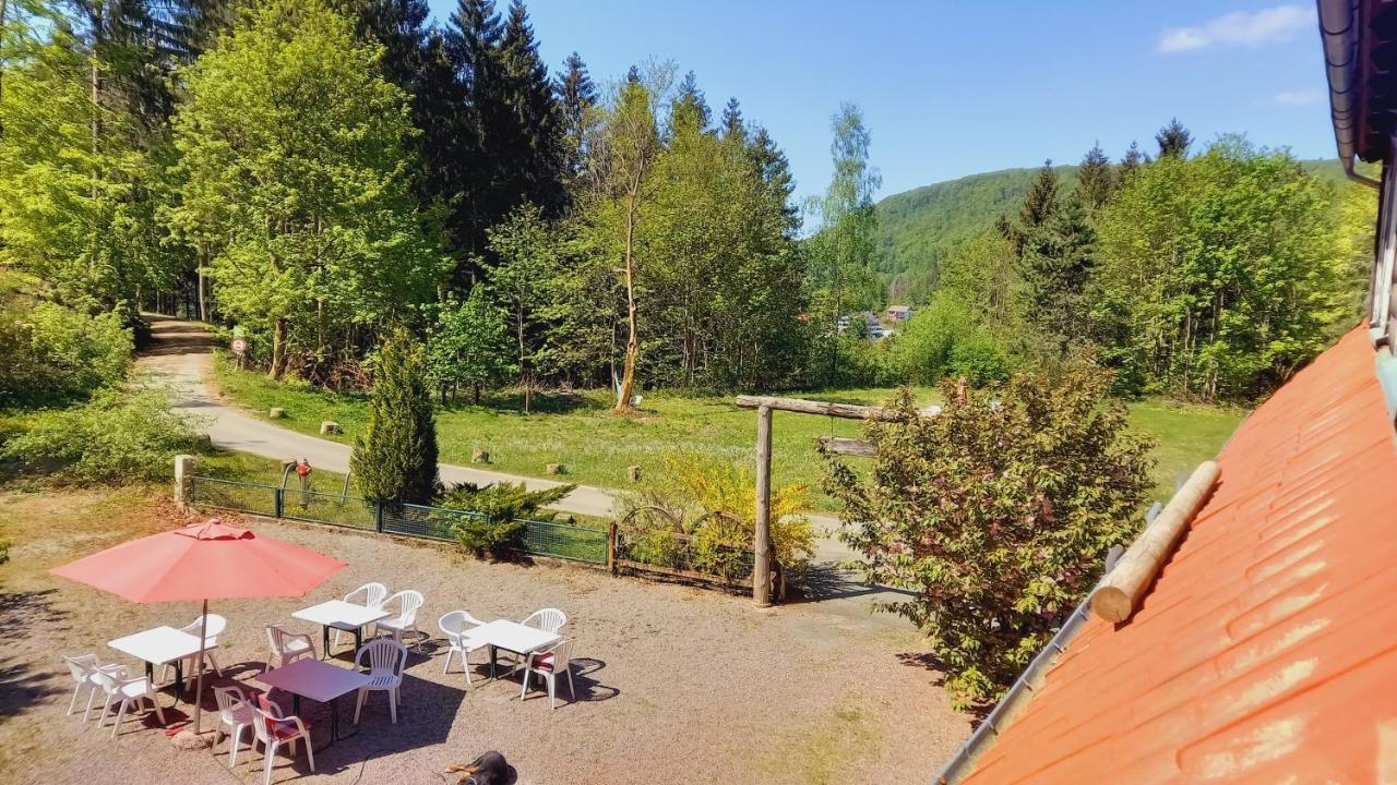 Waldpension Harzer Waldwinkel Bad Grund Exterior photo